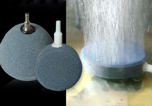 Aquarium Oxygenated Nanobubbles - Image 6