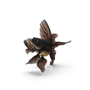 Small Blackmore Goldfish